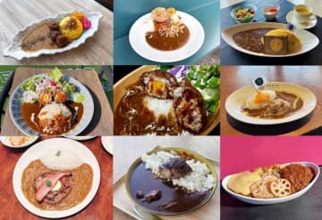 スタンプ集め限定品ゲット！「海自」フーカデンビーフカレー　木更津、認証店の9店舗で