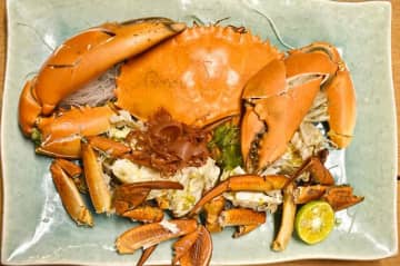 挟まれたら死ぬことも…高級食材カニの爪が最強だった