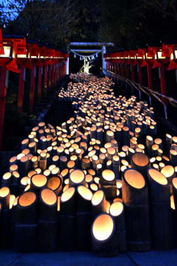 魅惑の竹灯籠5000本　勝浦で「かぐやの宵」　神社や商店街ともす