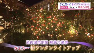 飛鳥乃湯泉で29日から 椿ランタンのライトアップ開催！暖かな光の空間広がる