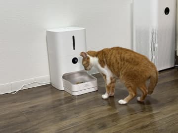 シャオミの1万円ペット給餌器を使ってみた　少食猫も安心【ミニレビュー】