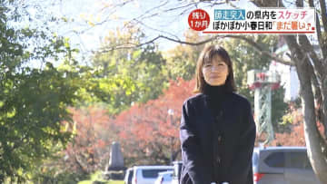 師走突入！県内は小春日和に恵まれ…お歳暮に人気、ヒオウギ貝の出荷もスタート