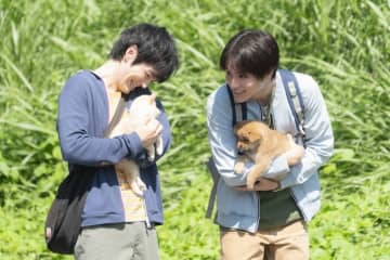 犬がストーリーの鍵を握る♪新作から名作まで心に響くとっておき【犬の映画＆ドラマ10選】