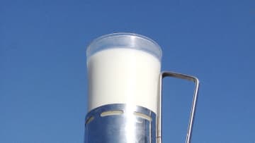 安くておいしい牛乳なくなる？日本の酪農家が初の1万戸割れ「半分が離農検討」も…コスト上昇で搾るほど赤字「コップ1杯多く飲んで」