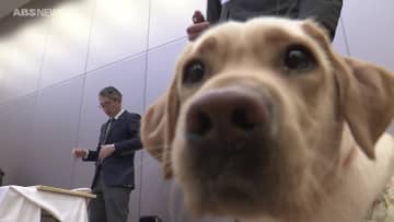 生活をサポートする「身体障害者補助犬」の育成に役立てて…秋田県内のNPO法人が240万円を寄付