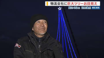高さ45ｍ！巨大クリスマスツリーが登場「地域を明るく」物流会社が飾る 山梨・南アルプス市