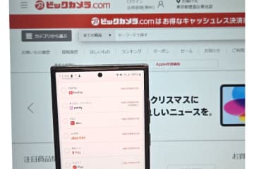 ビックカメラ.com、楽天ペイ・d払い・au PAY・メルペイが利用可能に