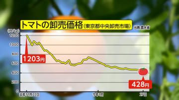 【なぜ？】“高級野菜”トマトがまさかの値下がりで“物価高の救世主”に…値下げのヒミツは“旬”で生産量増加