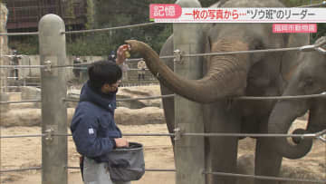 待ってたよ！7年ぶりに動物園にゾウがやってきた　一枚の写真から始まる物語