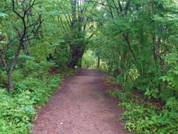 怪奇現象？ 山道で“奇妙な声”を聞いた女性、慌てて下山すると「大きな黒犬のようなものが……」