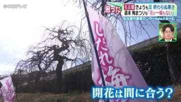 終わらぬ寒さ　週末に梅まつりも…「花が一輪もない」　名古屋市農業センターdelaふぁーむ
