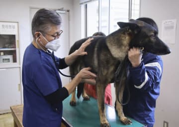 探知犬診察続けて四半世紀　税関や警察を支える獣医師