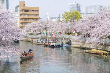 運河沿いの桜を楽しめるイベント「第21回 お江戸深川さくらまつり」3月22日より開催！