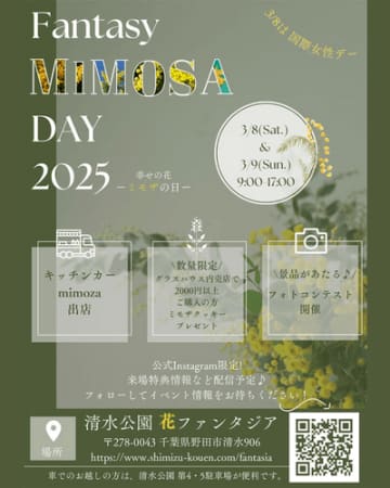 3月上旬　ミモザがこれから見ごろを迎えます【清水公園花ファンタジア】　3月8日・9日はミモザにちなんだイベント「Fantasy Mimosa Day2025」を開催！