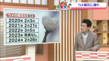 【なるほど天気解説】遅れているウメの開花発表　その理由は「標本木が老いて弱った」