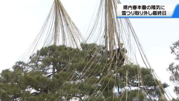名木「唐崎松」雪つり外す　兼六園は“春の装い”へ　石川県内は4月上旬並みの暖かさに