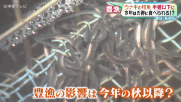 今年はウナギがお得に食べられる!?　稚魚5年ぶりの豊漁で取引価格が半値以下に 恩恵を受けられるのはいつから？　 愛知・高浜市