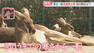寒さから一転→気温は急上昇　福岡市は22℃で4月下旬並みの暖かさ