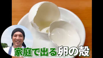 【家庭菜園の土作り】初心者必見！ 卵の殻があれば肥料はいりません！