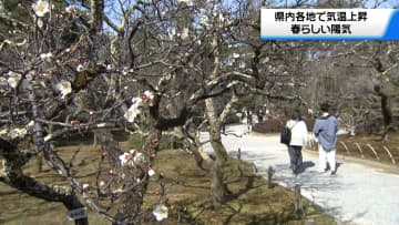 石川県4月中旬から下旬並みの暖かさに　兼六園では梅の花が咲き始める
