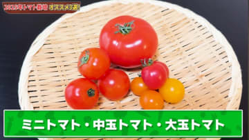 2025年トマト栽培！農家厳選の品種3選！ 極甘トマトはこれだ！