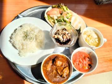 【新柏】春休みお花見も楽しめる子育てママのオアシス「CAFE WOL（カフェウォール）」