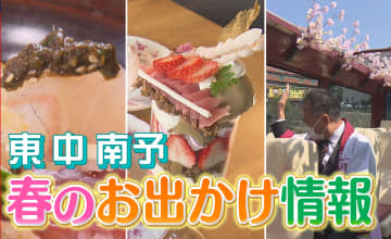 道後発のサクラ満喫バスツアーに…駅前喫茶店の桜スイーツ！愛媛の春のお出かけスポット