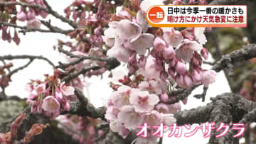 25日明け方にかけ天気の急変に注意　日中は今季一番の暖かさも 《新潟》