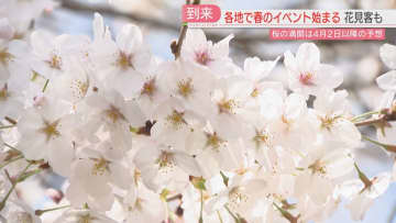 初夏の陽気のなか「福岡城さくらまつり」スタート　700本のソメイヨシノは何分咲き？　夜はライトアップも