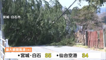 記事の画像