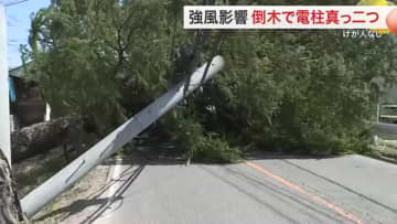 記事の画像