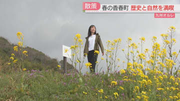 坑道の跡・見頃を迎える桜　歴史と自然を楽しみながら歩く「オルレ」タケノコづくしのランチも