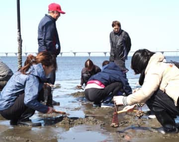 潮干狩りも春本番へ！　木更津であす4海岸オープン　アサリのみそ汁など特典も