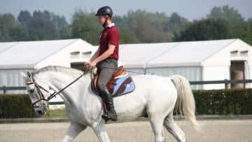 【鞭を使う前に】脚合図のおさらい