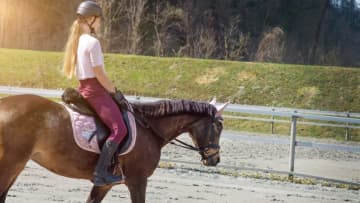 馬に乗るって難しい？初心者が知るべき基本の姿勢