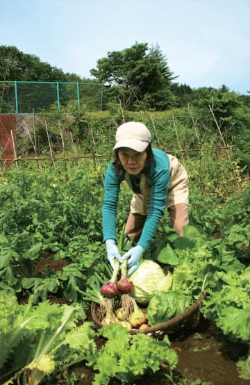 田舎へ移住したら菜園を楽したい！　菜園を始めるために知っておいて損はない基礎知識を紹介【知っておきたい！　基本のき～菜園編～】