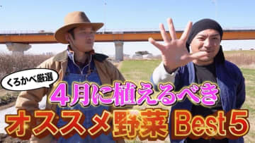 家庭菜園デビューにぴったり！迷ったらコレ！4月に植えるべき野菜BEST5