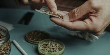 「大麻」はどう世界に広がった？“視覚と味覚の解像度が上がったような感覚”2500年前に焚かれていた形跡も…