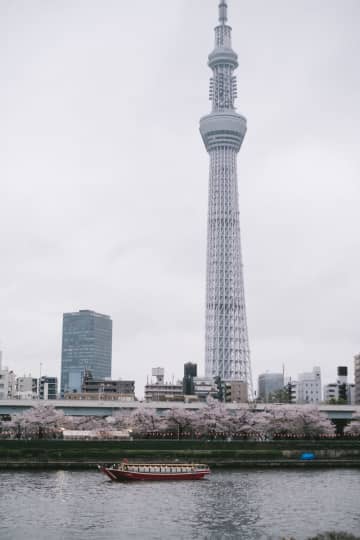 【天下の暴論】花見はやっぱり難しい｜花田紀凱　２８年間、夕刊フジで連載され、惜しまれつつ終了した「天下の暴論」が、Hanadaプラスで更にパワーアップして復活！