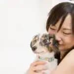 イヌやネコとの親密な愛着が思春期のウェルビーイングに影響　麻布大学など解明
