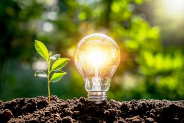 牛の糞から発電！ 窓に貼るフィルム型太陽電池!? アースデイに考えたい日本のエネルギー問題と最新技術