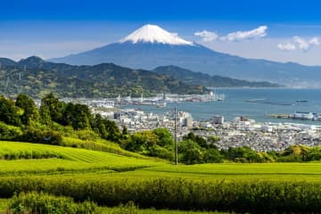 「富士山満喫きっぷ」リニューアルへ 利用エリアを静岡中部・静岡東部に分割 現行のきっぷは4月29日をもって発売終了