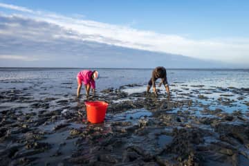 【2025年関西潮干狩りスポット8選】時期・持ち物・持ち帰り方を達人が解説