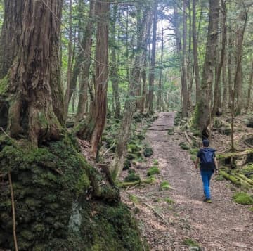 ゴールデンウィークは「フラット登山」を楽しもう！　日本最強の異世界「富士山 青木ヶ原樹海」をくぐり抜ける