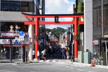 武蔵五日市から鎌倉まで乗り換えなし E257系臨時特急「鎌倉満喫五日市」が6月運行 その理由は……？