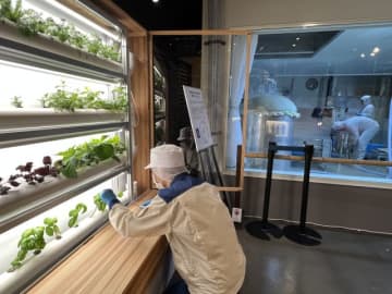 老舗酒蔵がマイクロブルワリーで挑戦する、未来のSAKEづくり