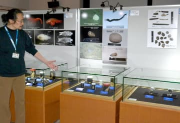 超深海生物にギョギョッ　勝浦・海の博物館で企画展　世界初公開の標本も