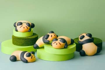 【木村屋總本店】お昼寝ポーズの｢パンダちゃん｣など、新作パン3種類を発売♪
