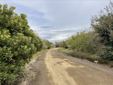 「海の森公園」とは　大型遊具も　お台場から車で10分、そこは秘境だった