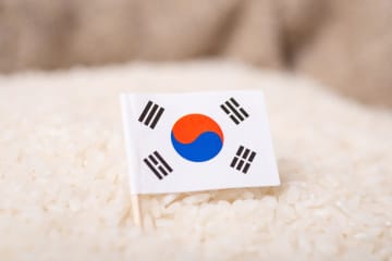 【コメ高騰】”韓国産”の輸入米10キロ『9000円』が10日で完売…ネットでは『販売価格』にコメント殺到「5kg4500円なら国産米より高くない？？」「高くても日本の買います」